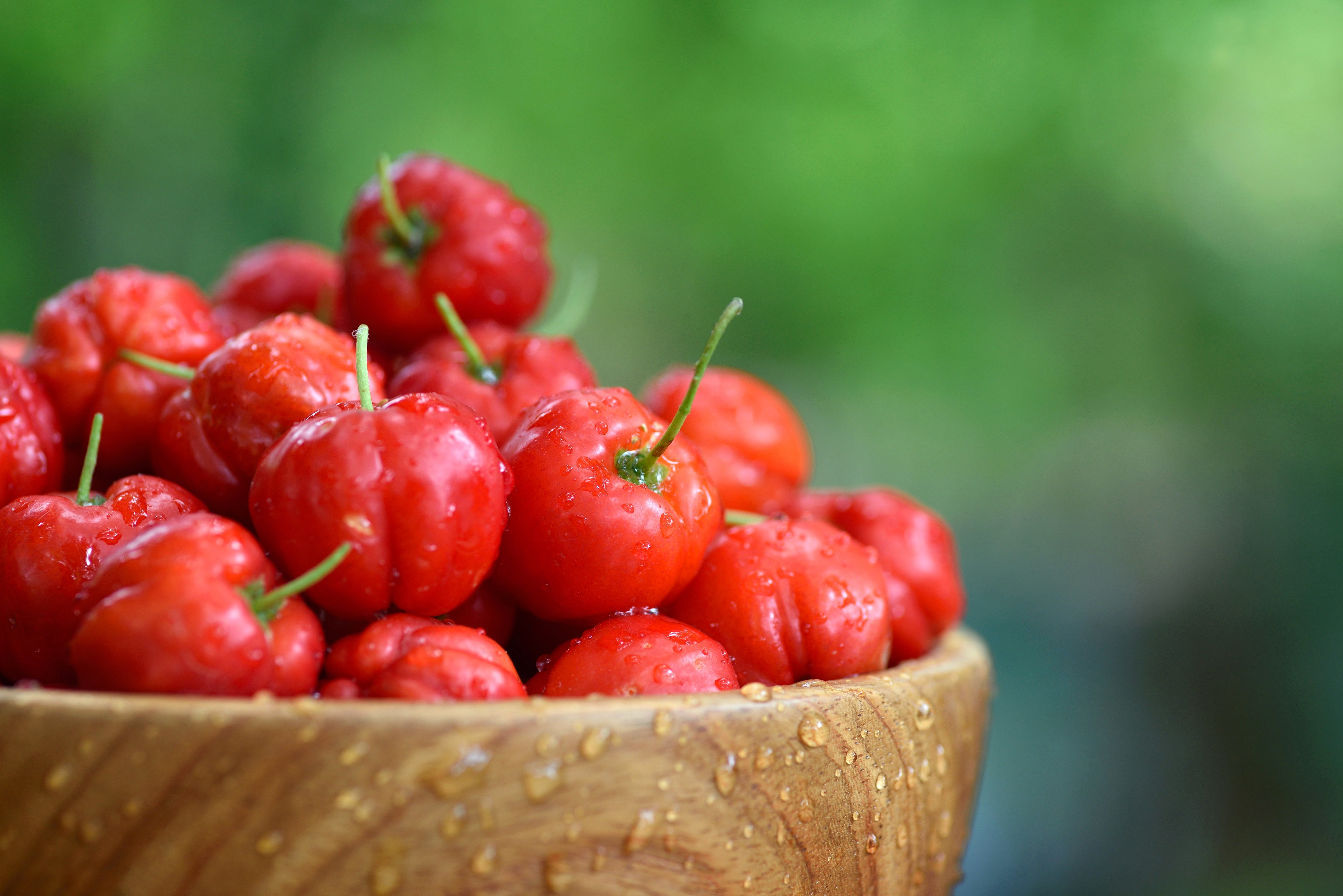 Acerola - Vitamin C Powerhouse for Immunity, Skin, and Oxidative Stress