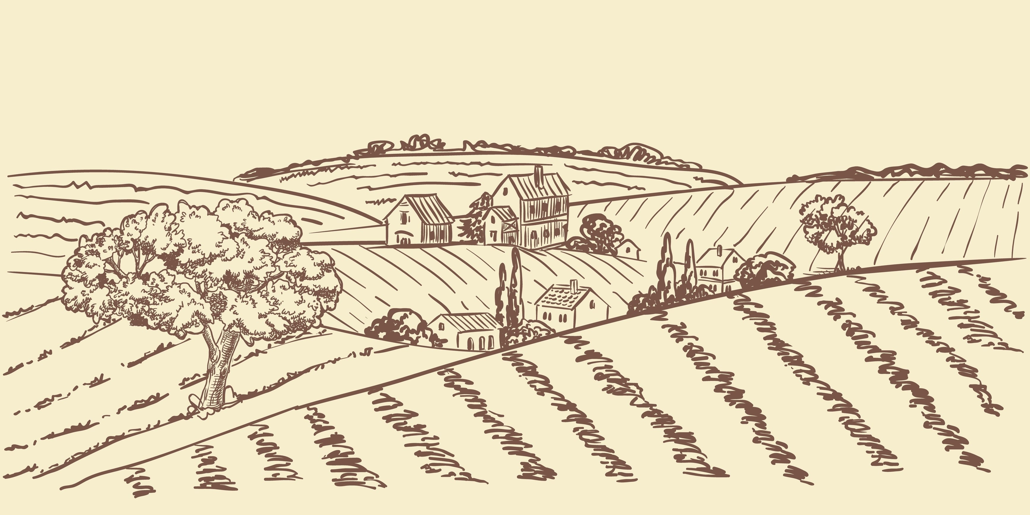 vintage style illustration of hedgerow harvest