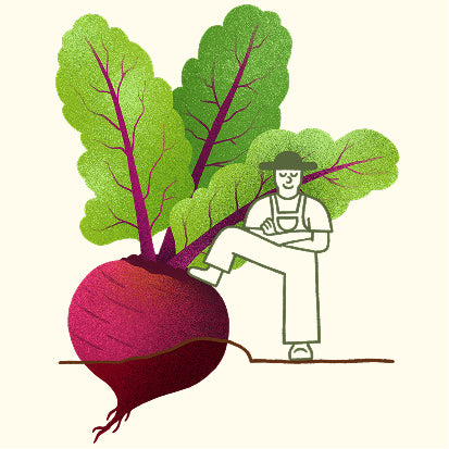 Funkcionālās sulas enerģijai